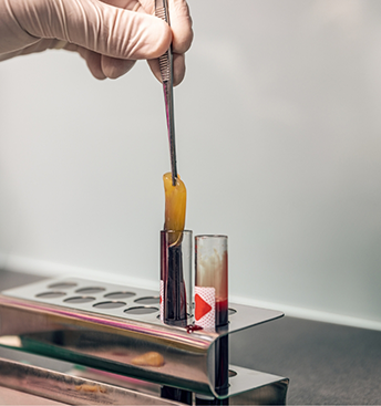Dentist using a centrifuge