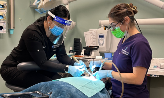 Dentist and assistant performing a dental procedure on a patient