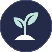 Icon of a growing plant bud